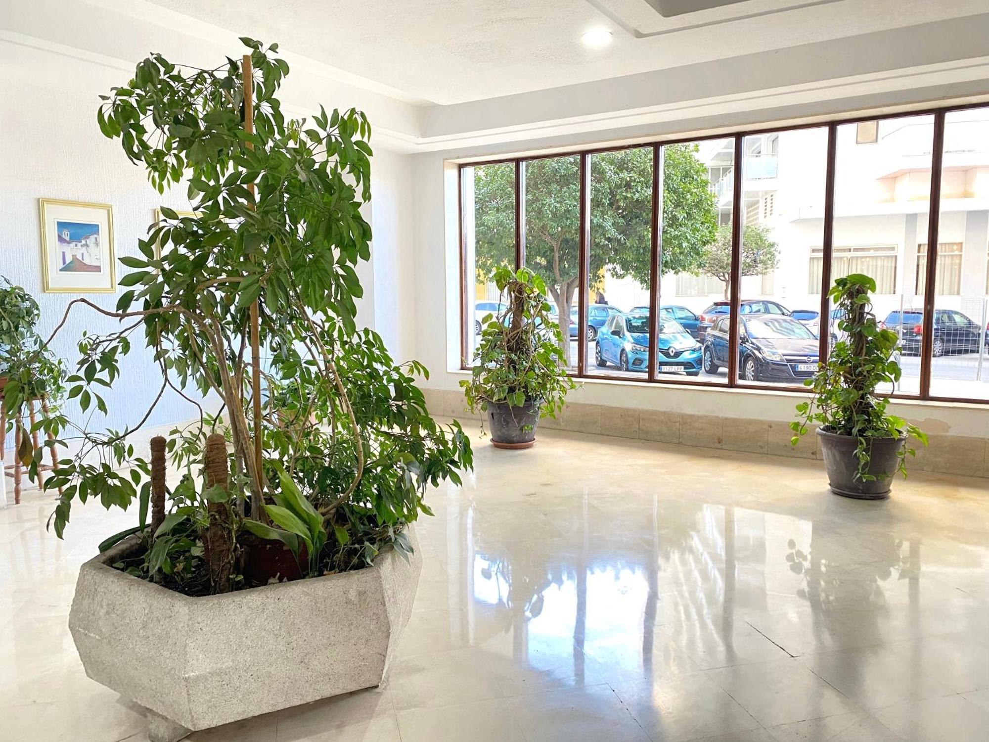 Apartamento Sunset Sunny Verdiales Terrace & Sea Views *